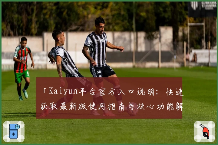 「Kaiyun平台官方入口说明：快速获取最新版使用指南与核心功能解析」