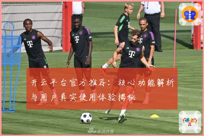 开云平台官方推荐：核心功能解析与用户真实使用体验揭秘